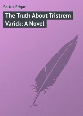 Edgar Saltus The Truth About Tristrem Varick: A Novel обложка книги