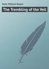 William Yeats - The Trembling of the Veil