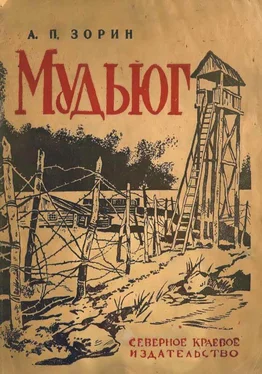 А. Зорин Мудьюг обложка книги