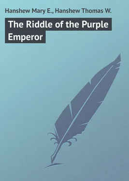 Thomas Hanshew The Riddle of the Purple Emperor обложка книги