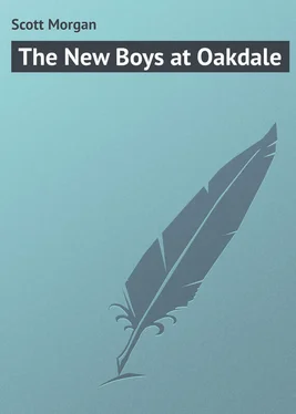 Morgan Scott The New Boys at Oakdale обложка книги