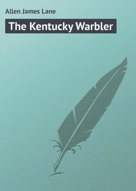 James Allen The Kentucky Warbler обложка книги