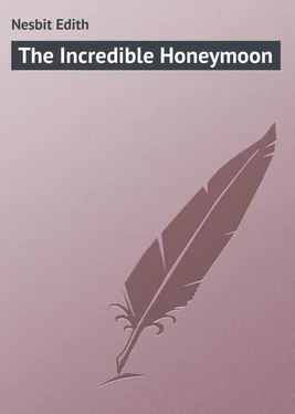 Edith Nesbit The Incredible Honeymoon обложка книги