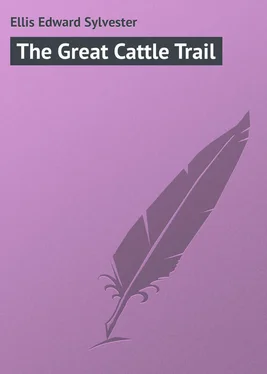 Edward Ellis The Great Cattle Trail обложка книги