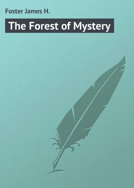 James Foster The Forest of Mystery обложка книги