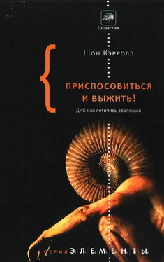 Шон Кэрролл Приспособиться и выжить! обложка книги