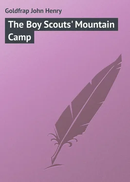 John Goldfrap The Boy Scouts' Mountain Camp обложка книги