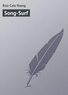 Cale Rice Song-Surf обложка книги