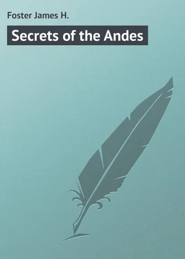 James Foster Secrets of the Andes обложка книги