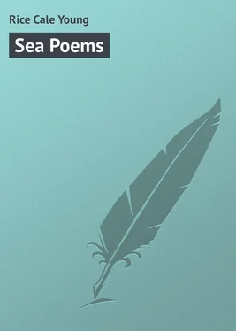 Cale Rice Sea Poems обложка книги