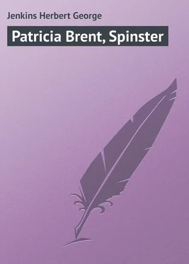 Herbert Jenkins Patricia Brent, Spinster обложка книги