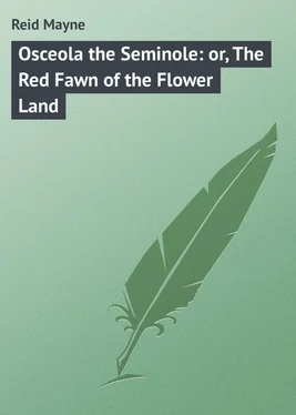 Mayne Reid Osceola the Seminole: or, The Red Fawn of the Flower Land обложка книги