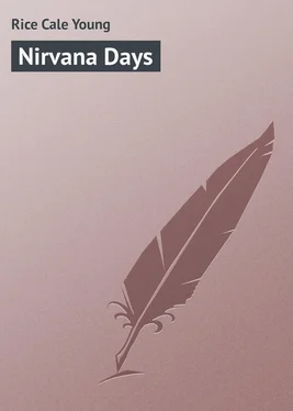 Cale Rice Nirvana Days обложка книги