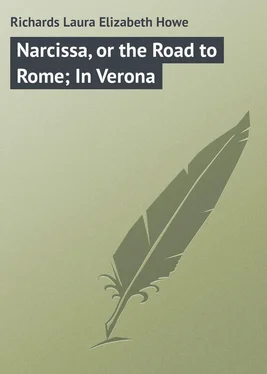 Laura Richards Narcissa, or the Road to Rome; In Verona обложка книги
