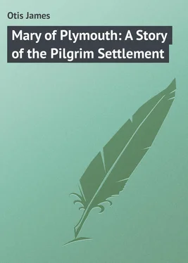 James Otis Mary of Plymouth: A Story of the Pilgrim Settlement обложка книги