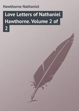 Nathaniel Hawthorne Love Letters of Nathaniel Hawthorne. Volume 2 of 2 обложка книги