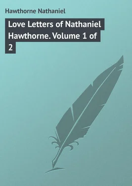 Nathaniel Hawthorne Love Letters of Nathaniel Hawthorne. Volume 1 of 2 обложка книги