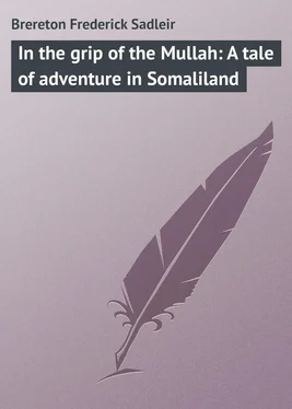 Frederick Brereton In the grip of the Mullah: A tale of adventure in Somaliland обложка книги