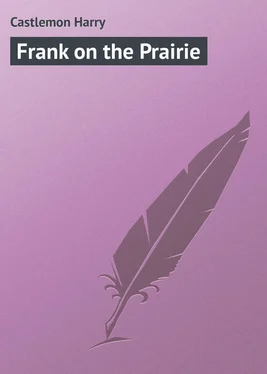 Harry Castlemon Frank on the Prairie обложка книги