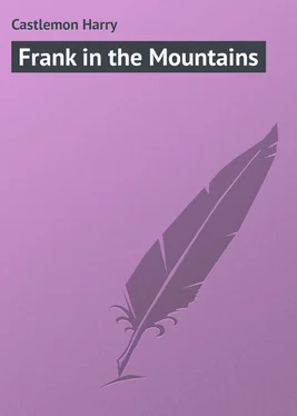 Harry Castlemon Frank in the Mountains обложка книги