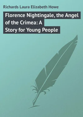 Laura Richards Florence Nightingale, the Angel of the Crimea: A Story for Young People обложка книги