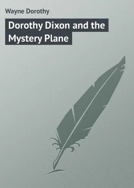 Dorothy Wayne Dorothy Dixon and the Mystery Plane обложка книги