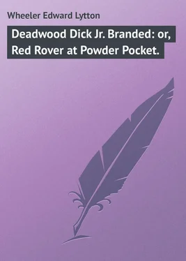 Edward Wheeler Deadwood Dick Jr. Branded: or, Red Rover at Powder Pocket. обложка книги