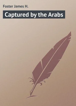 James Foster Captured by the Arabs обложка книги