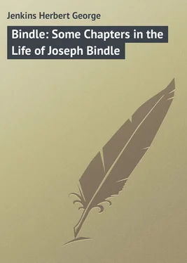 Herbert Jenkins Bindle: Some Chapters in the Life of Joseph Bindle обложка книги