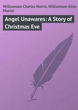 Alice Williamson Angel Unawares: A Story of Christmas Eve обложка книги