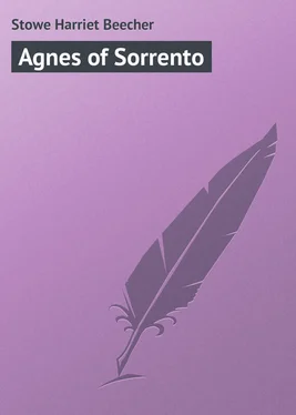 Harriet Stowe Agnes of Sorrento обложка книги