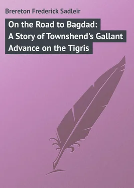 Frederick Brereton On the Road to Bagdad: A Story of Townshend's Gallant Advance on the Tigris обложка книги