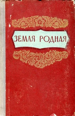 Марк Гроссман Земля родная обложка книги