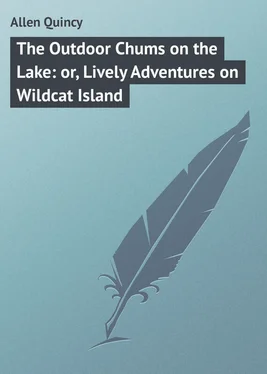 Quincy Allen The Outdoor Chums on the Lake: or, Lively Adventures on Wildcat Island обложка книги