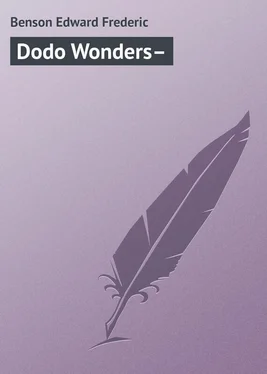 Edward Benson Dodo Wonders– обложка книги