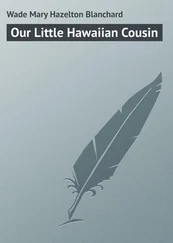 Mary Wade - Our Little Hawaiian Cousin