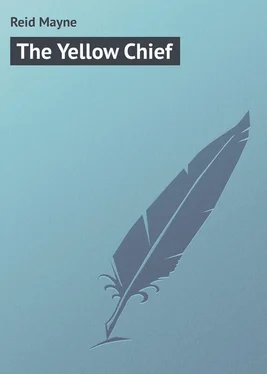 Mayne Reid The Yellow Chief обложка книги