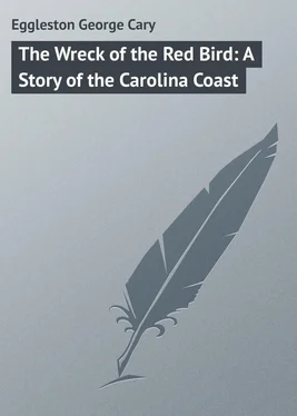 George Eggleston The Wreck of the Red Bird: A Story of the Carolina Coast обложка книги