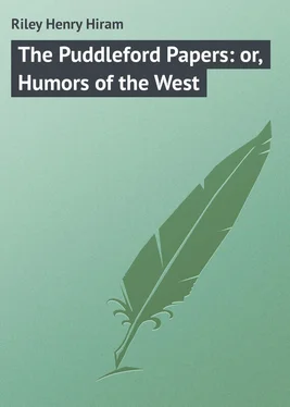 Henry Riley The Puddleford Papers: or, Humors of the West обложка книги