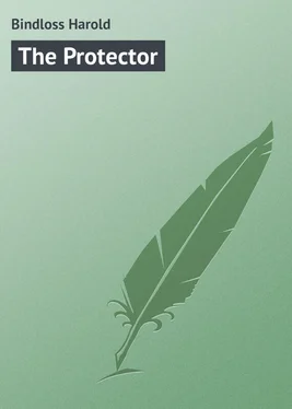 Harold Bindloss The Protector обложка книги
