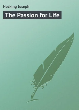 Joseph Hocking The Passion for Life обложка книги