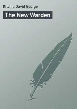 David Ritchie The New Warden обложка книги