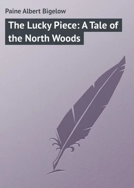 Albert Paine The Lucky Piece: A Tale of the North Woods обложка книги