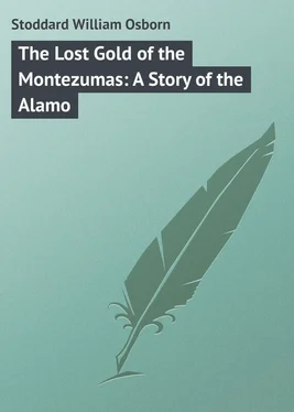 William Stoddard The Lost Gold of the Montezumas: A Story of the Alamo обложка книги