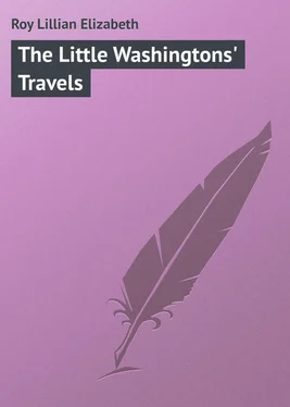 Lillian Roy The Little Washingtons' Travels обложка книги