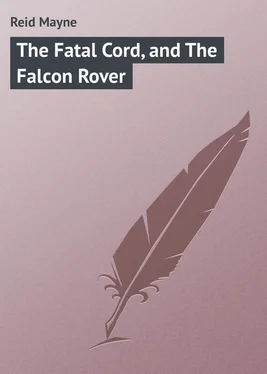 Mayne Reid The Fatal Cord, and The Falcon Rover обложка книги