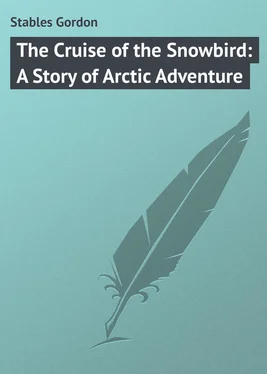 Gordon Stables The Cruise of the Snowbird: A Story of Arctic Adventure обложка книги