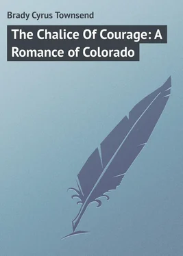 Cyrus Brady The Chalice Of Courage: A Romance of Colorado обложка книги