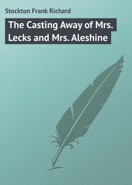 Frank Stockton The Casting Away of Mrs. Lecks and Mrs. Aleshine обложка книги