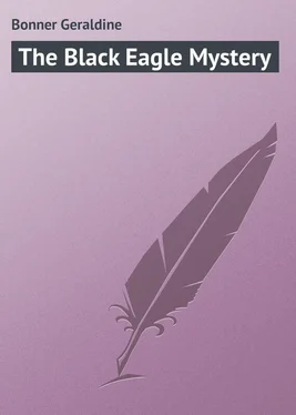 Geraldine Bonner The Black Eagle Mystery обложка книги